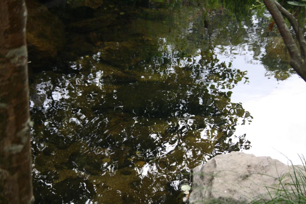 Villa Retiro Da Arminda Canedo  Esterno foto