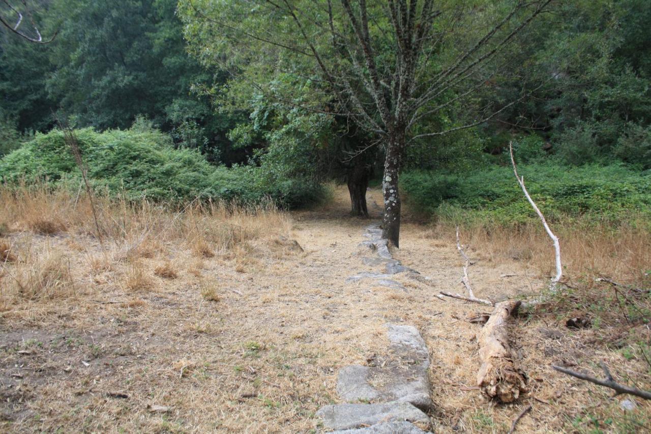 Villa Retiro Da Arminda Canedo  Esterno foto