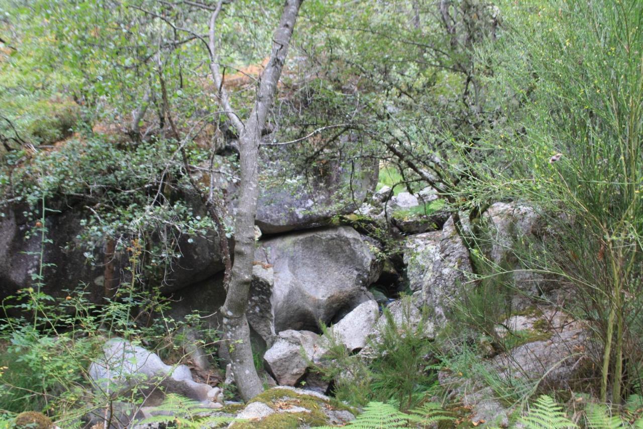 Villa Retiro Da Arminda Canedo  Esterno foto