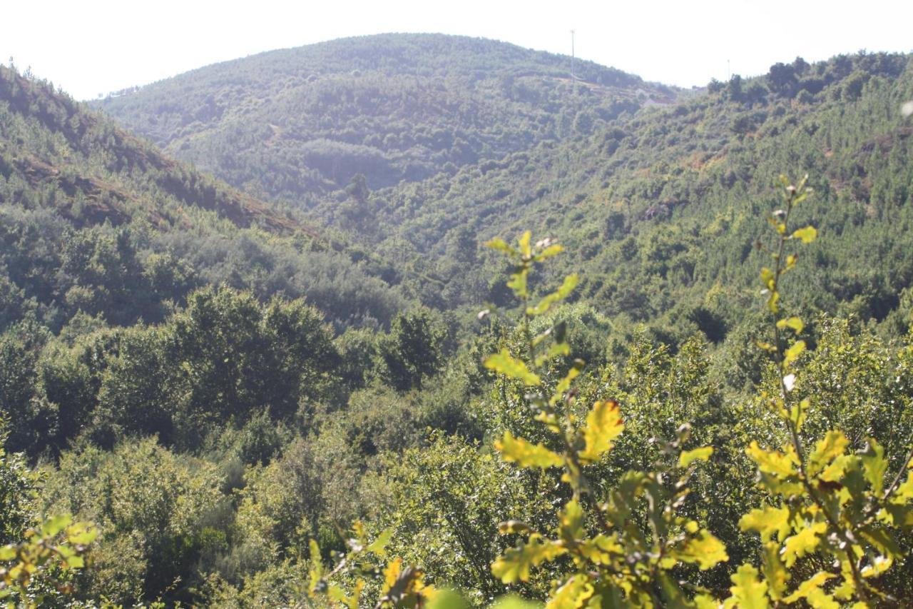 Villa Retiro Da Arminda Canedo  Esterno foto