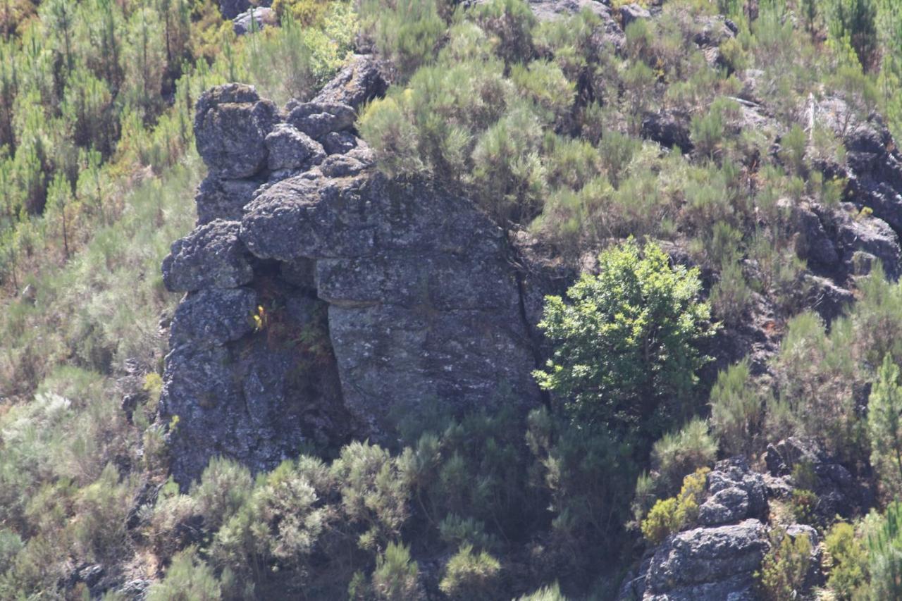 Villa Retiro Da Arminda Canedo  Esterno foto