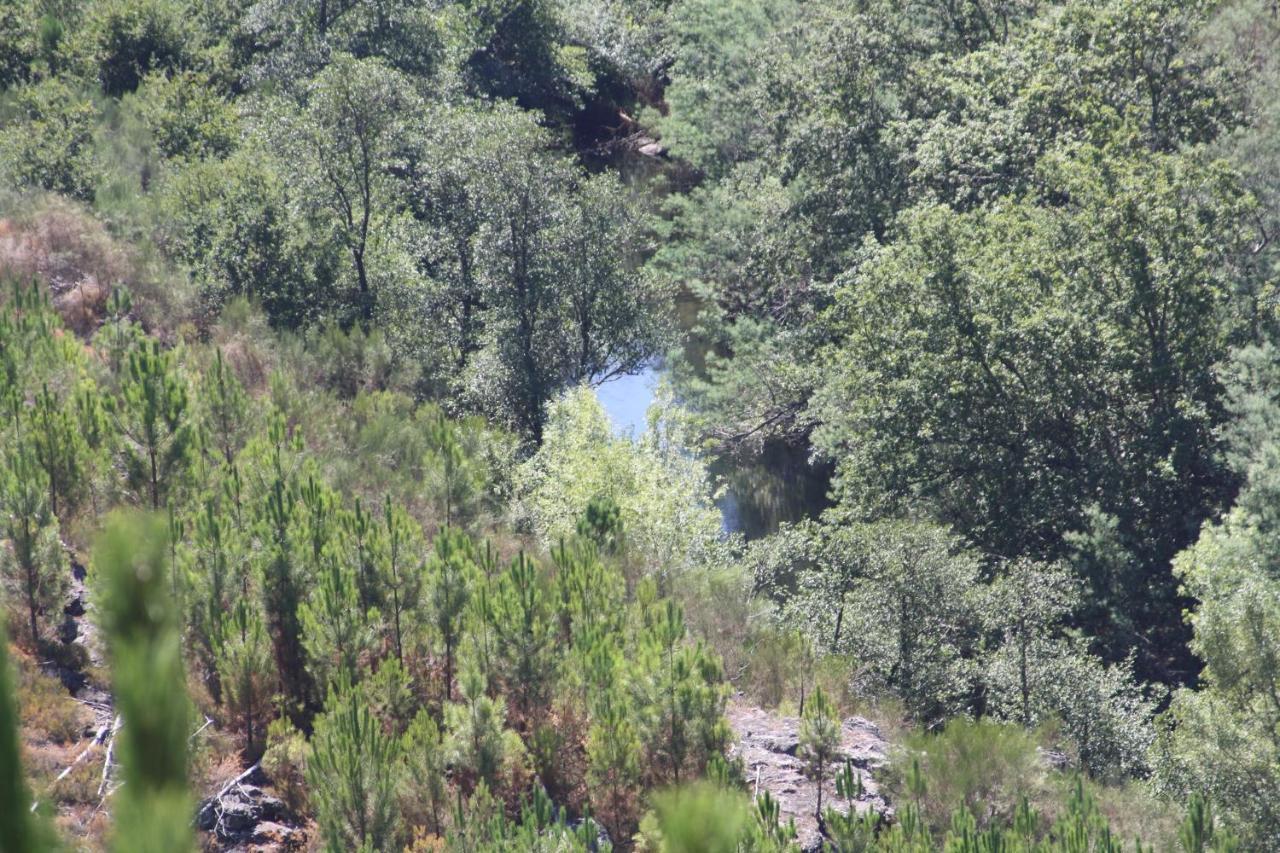 Villa Retiro Da Arminda Canedo  Esterno foto