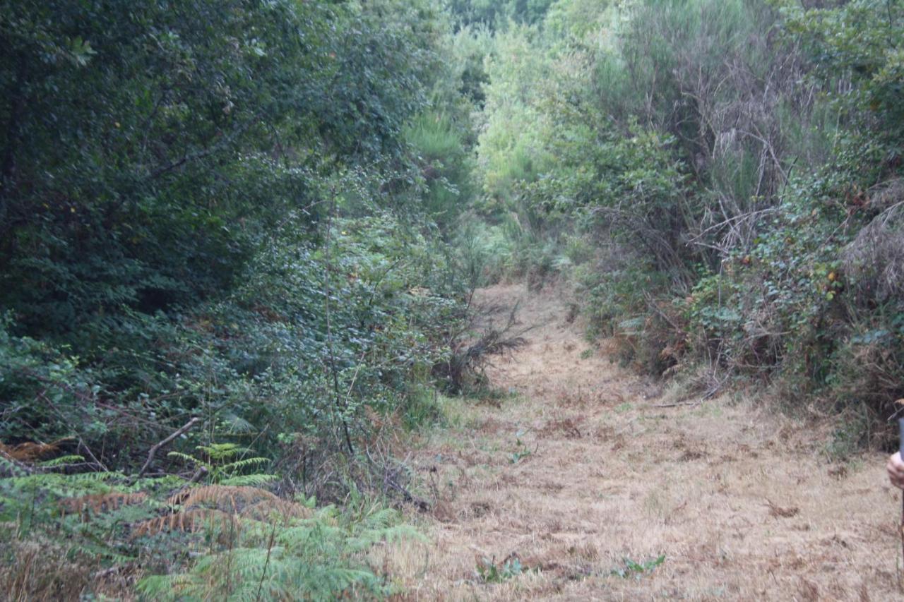 Villa Retiro Da Arminda Canedo  Esterno foto