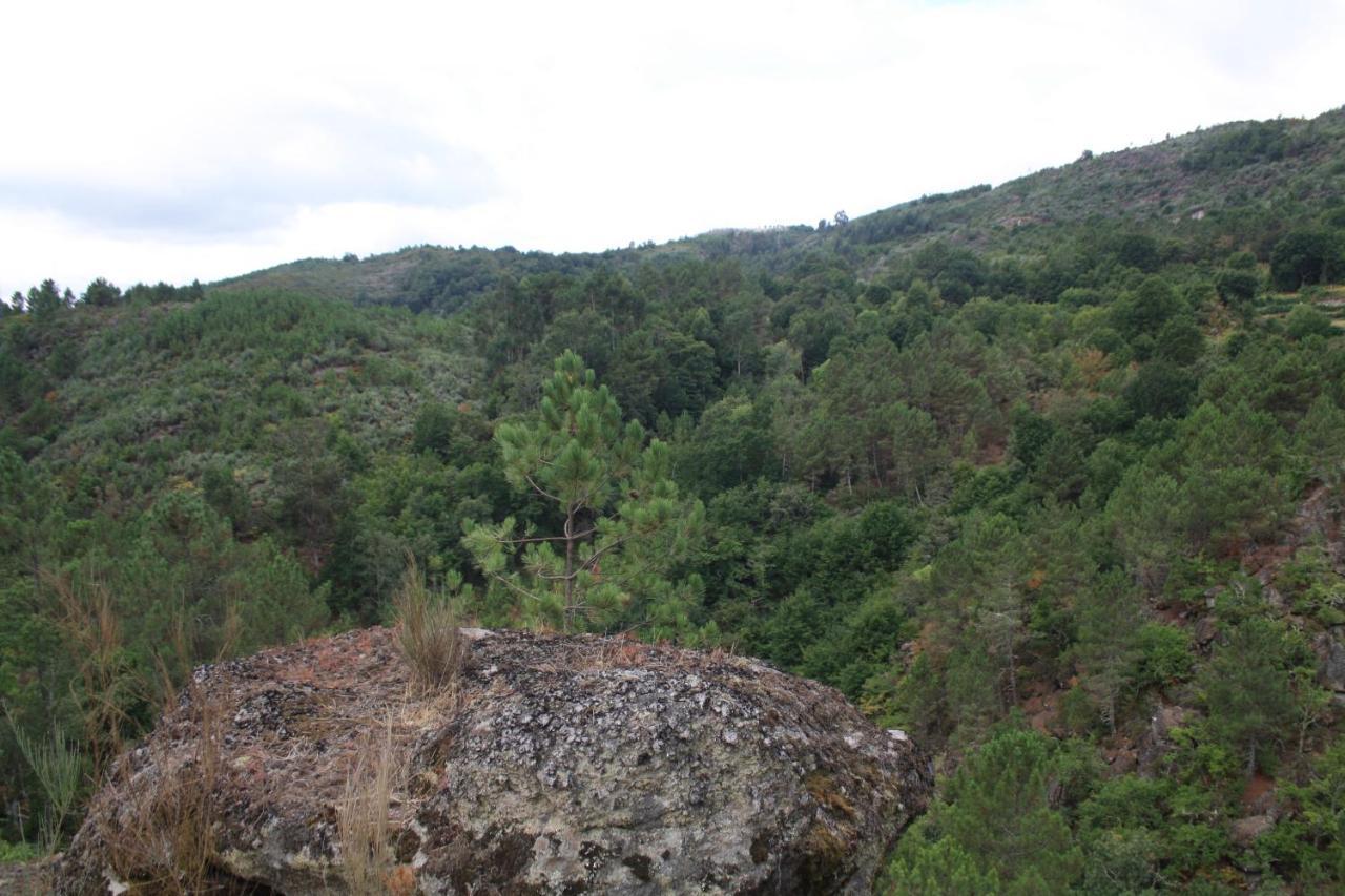Villa Retiro Da Arminda Canedo  Esterno foto