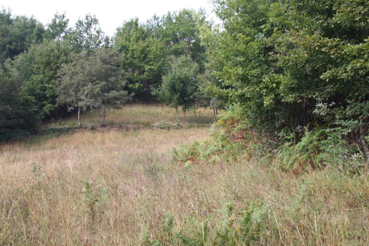 Villa Retiro Da Arminda Canedo  Esterno foto