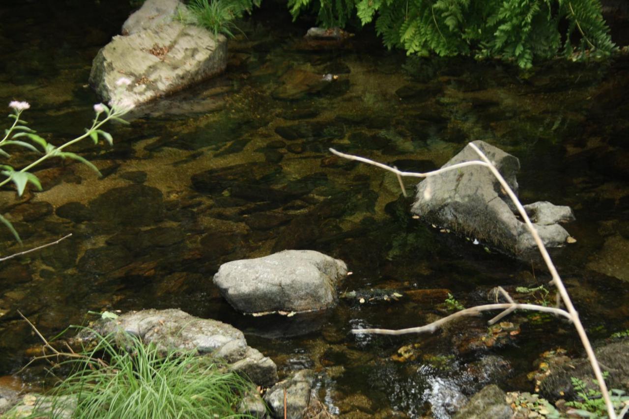 Villa Retiro Da Arminda Canedo  Esterno foto