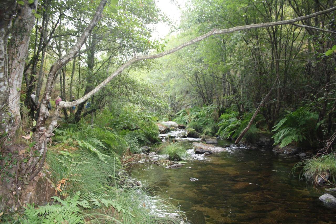 Villa Retiro Da Arminda Canedo  Esterno foto